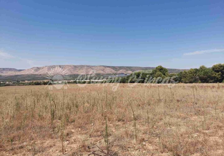 Terra a Biar, Alicante, Biar - € 125.000 | Ref: SF0426 - foto 1